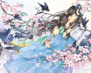 葫芦侠